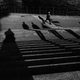 Illustration for article titled Shooting Challenge: Living Shadows